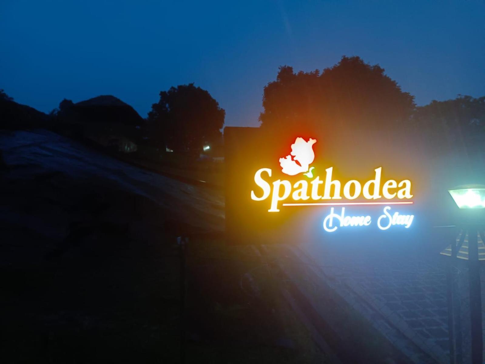 Spathodea Вагамон Екстериор снимка
